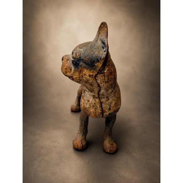 Discover a wonderful piece of early American decorative history with this antique cast iron Boston Terrier doorstop,...