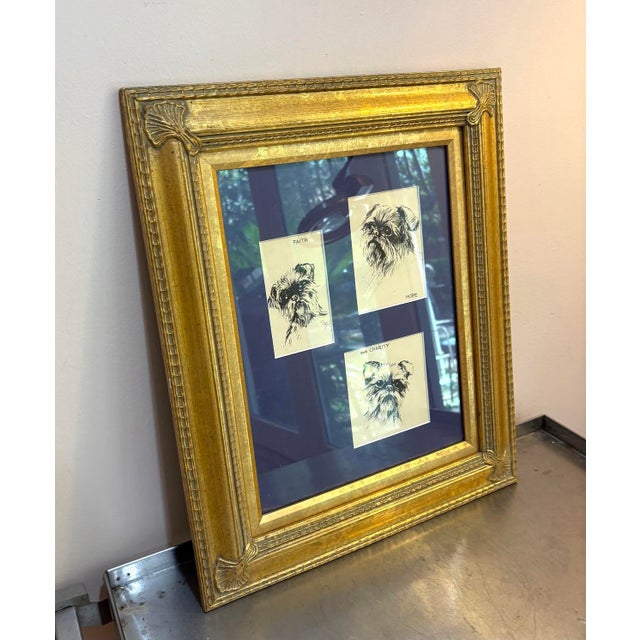 Traditional Brussels Griffon Dog Drawings Framed Set of 3 For Sale - Image 3 of 5