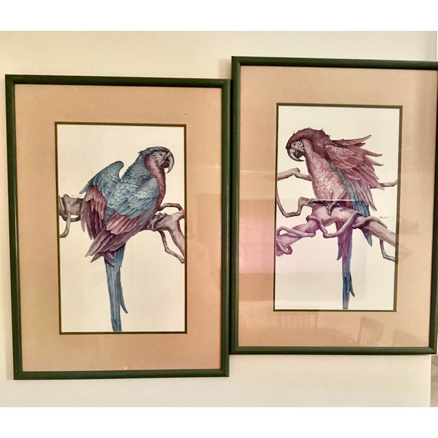 1980s Parrot Framed Prints by Paul Brent - Set of 2 For Sale - Image 12 of 12