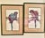 1980s Parrot Framed Prints by Paul Brent - Set of 2 For Sale - Image 12 of 12