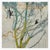 The Laughing Tree is a contemporary limited edition print from my Of a [Familiar] Nature series, created in 2025....