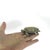 Mid-Century Modern Vintage Small Brass Turtle Trinket Box With Opening Lid For Sale - Image 3 of 7