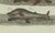 Paper Bertuch, Sperm Whale and North Atlantic Whales, 1800, Engraving For Sale - Image 7 of 9