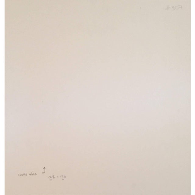 Late 20th Century Peter Boettcher, Carousel Horse, 1980 For Sale - Image 5 of 5