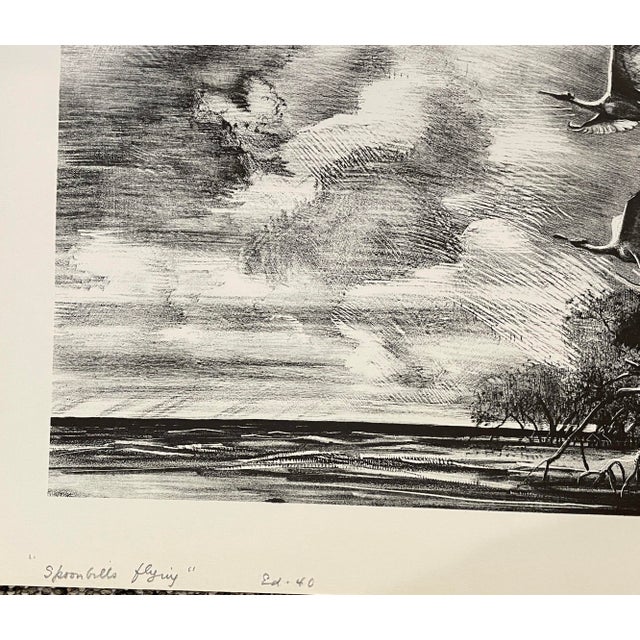 Traditional 1948 Victoria Hutson Huntley Spoonbills Flying Florida Lithograph For Sale - Image 3 of 4