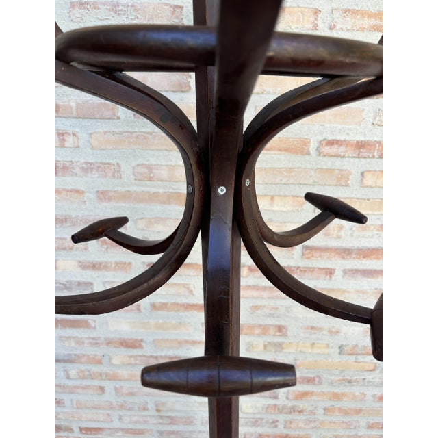 1950s Early 20th Century Coat Stand from Thonet, 1950s For Sale - Image 5 of 8