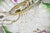 Antique Bavarian German Porcelain Gold Gilded Hand Painted Lobster Divided Dish For Sale - Image 15 of 18