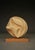 Carved Applewood Abstract Sculpture, 1980s For Sale - Image 3 of 12