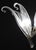 Glass 1980s Extraordinary Large Transparent Murano Glass Leaves Chandelier by Franco Luce For Sale - Image 7 of 18