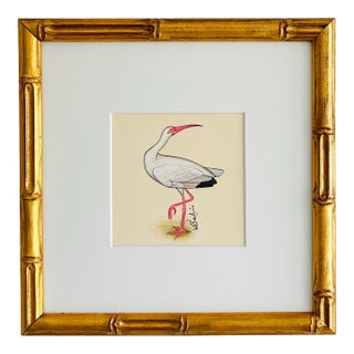 Original Hand-Painted Ibis Painting, Framed For Sale