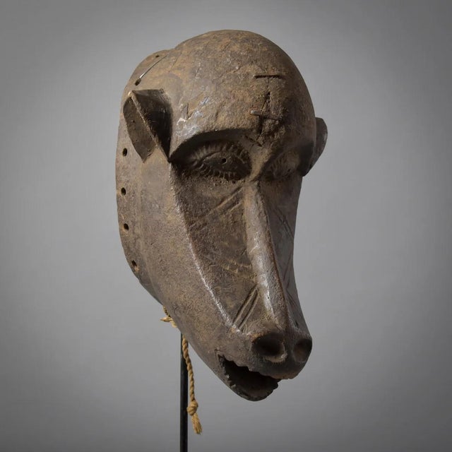 Early 20th Century Early 20th Century Gurunsi Baboon Animalistic Mask Burkina Faso For Sale - Image 5 of 12