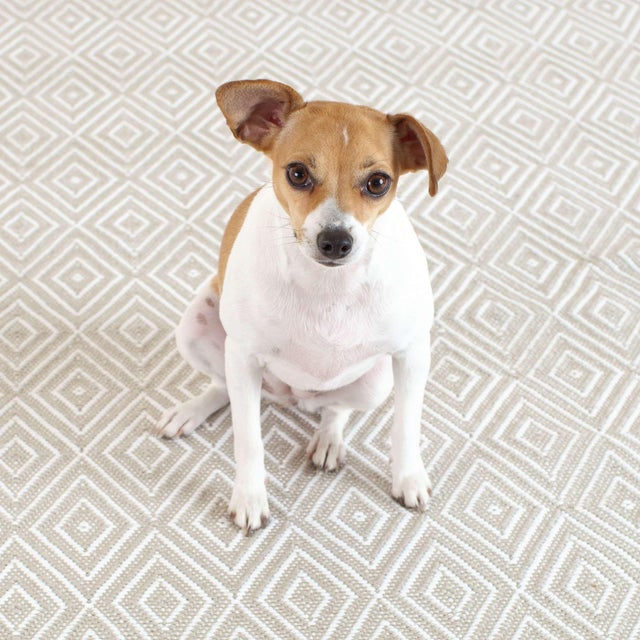 Contemporary Dash & Albert by Annie Selke Diamond Platinum/White Indoor/Outdoor Rug, 2'6" x 18' For Sale - Image 3 of 6