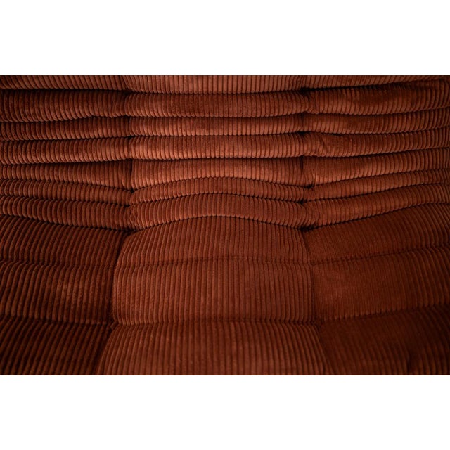 Togo Two-Seat in Brown Corduroy by Michel Ducaroy for Ligne Roset For Sale - Image 10 of 12