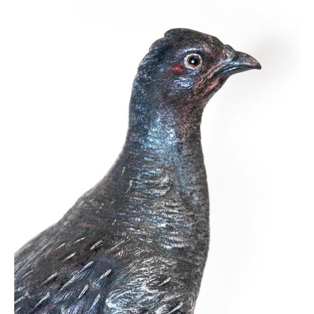 Vintage French Bronze Pigeon Sculpture, 1950s For Sale - Image 4 of 5