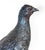 Vintage French Bronze Pigeon Sculpture, 1950s For Sale - Image 4 of 5