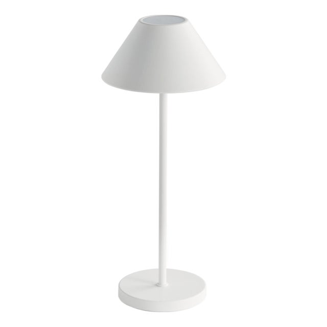 Alluna Cordless Led Lamp 14" - White For Sale