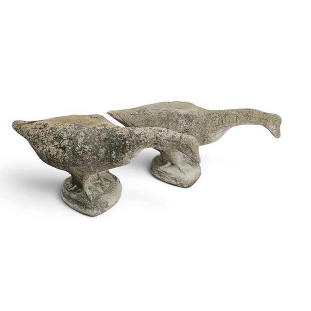 1950s French Weathered Concrete Garden Geese With Lichen Patina, Pair For Sale - Image 4 of 16