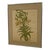 1970s Vintage Botanical Tiger Lily Illustration by Wendy Wheeler, Signed, Framed Floral Art. For Sale - Image 5 of 10