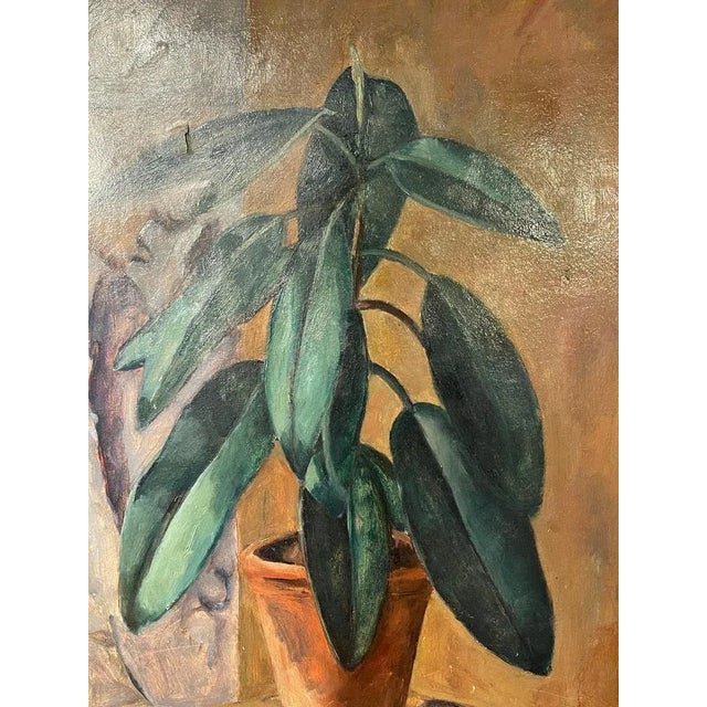 Giulio Benzi, Plant, Oil Painting on Cardboard, Framed For Sale - Image 3 of 7