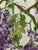 Vintage French Floral Patterned Fabric Piece - "Les Glycines" - "The Wisteria" Print on Cotton by Romanex - 25"wide X 45"long For Sale - Image 10 of 10