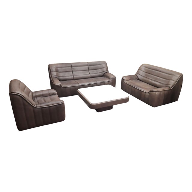 DS 84 Seating in Buffalo Leather from de Sede, 1970s, Set of 4 For Sale