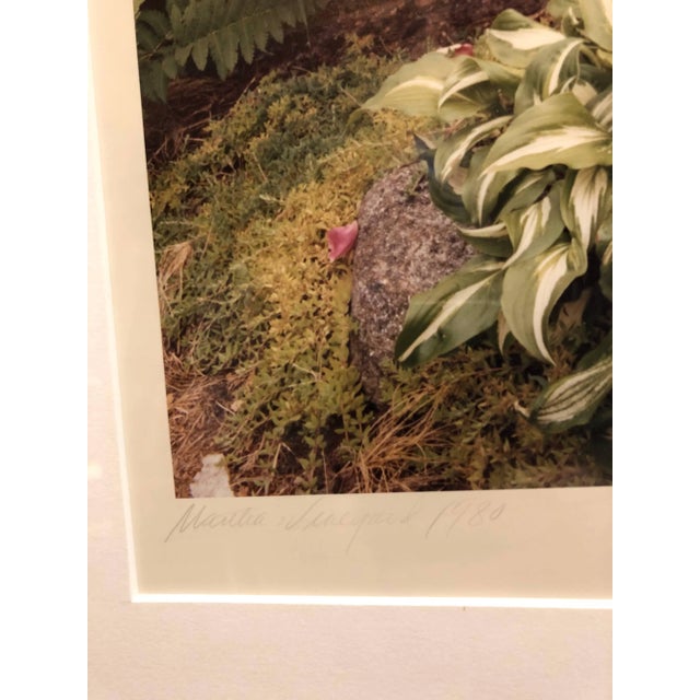 Marna Clarke, Martha's Vineyard Vintage Signed Color C Print Photograph, 1980 For Sale - Image 4 of 6