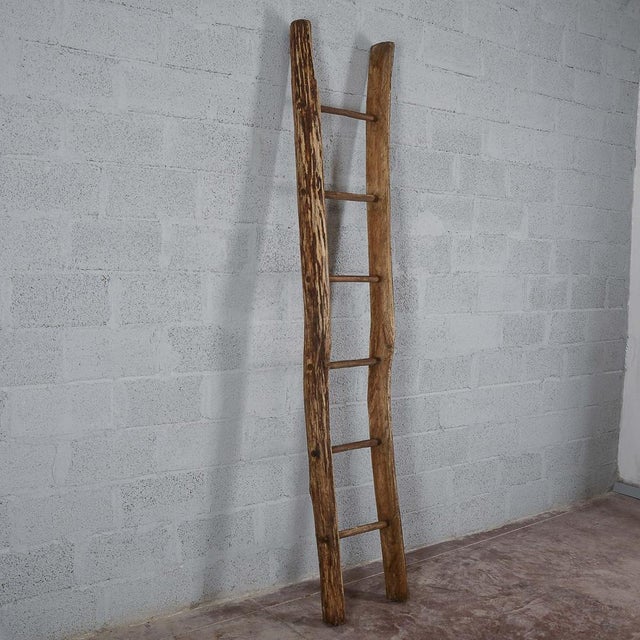 Antique 20th Century Wooden Ladder, Italy For Sale - Image 12 of 18