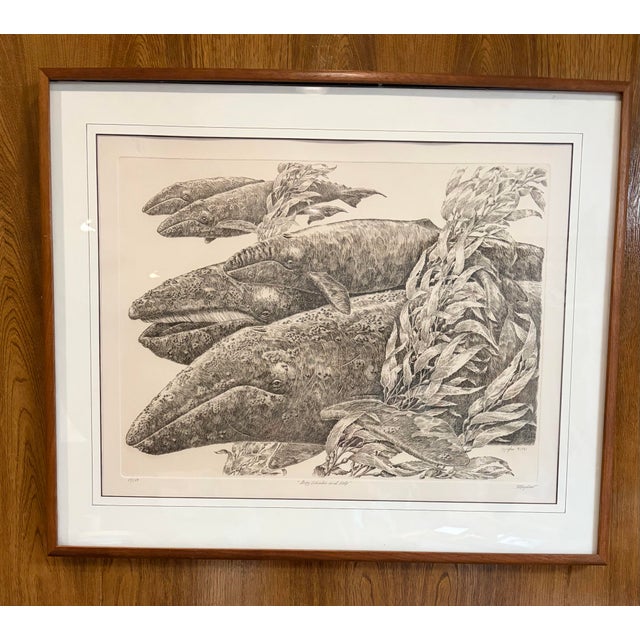 j.d. Mayhew Gray Whales and Kelp 1983 Limited Edition Etching Print, Signed and Numbered For Sale In Dallas - Image 6 of 10