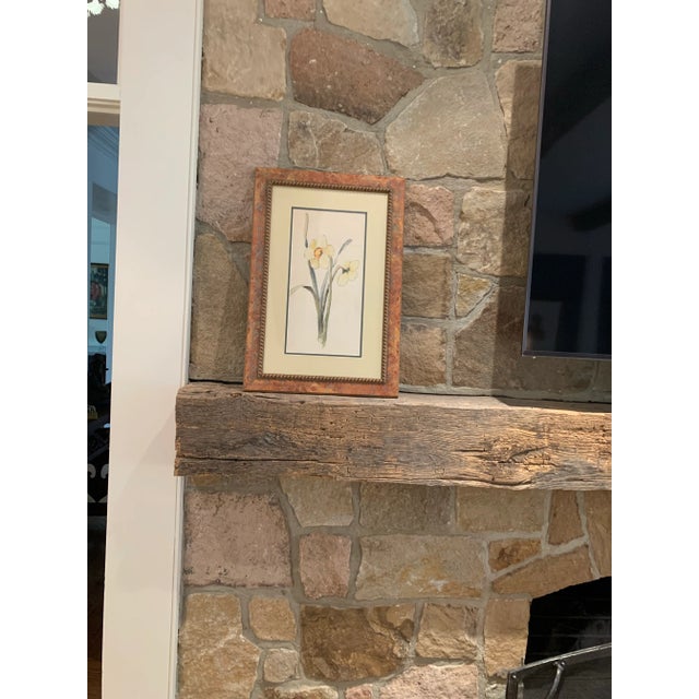 Purchased years ago at an auction and had it professionally framed. Lovely floral daffodils. Note in picture corner...