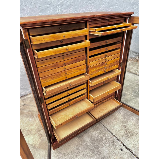 Antique Collector's or Specimen Cabinet | Late 19th Century For Sale - Image 11 of 18