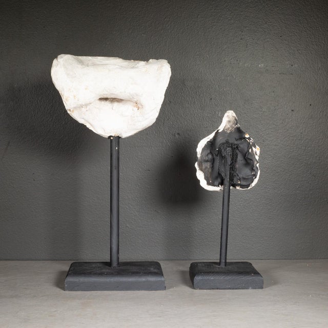 Early 20th Century Early 20th C. Plaster Cast Nose and Mouth Sculpture C.1900-1930 For Sale - Image 5 of 5