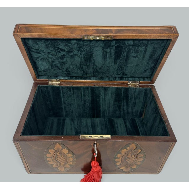 Antique Georgian Mahogany Satinwood Inlaid Jewelry Cigar Conch Shell Casket Box For Sale - Image 9 of 9