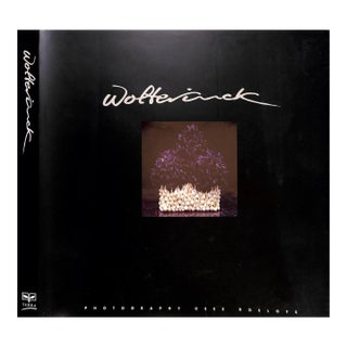 "Wolterinck" 1997 Roelofs, Cees [Photography] For Sale