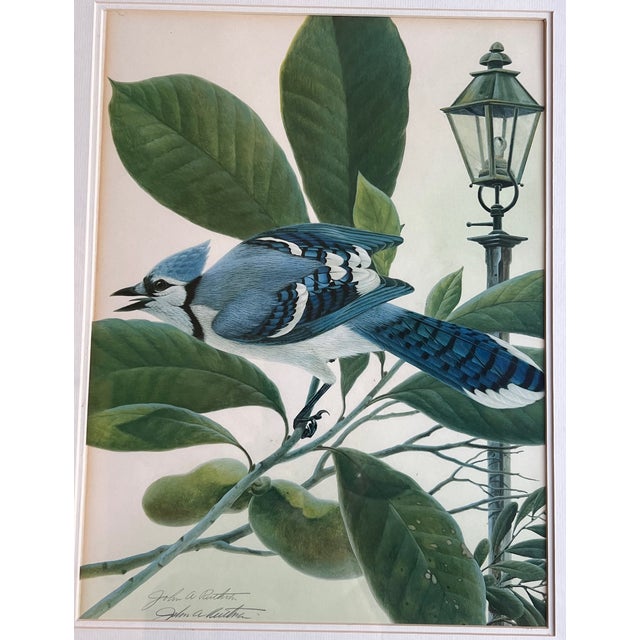 1970s John A. Ruthven "Bluejay" Lithograph- Signed For Sale - Image 5 of 13