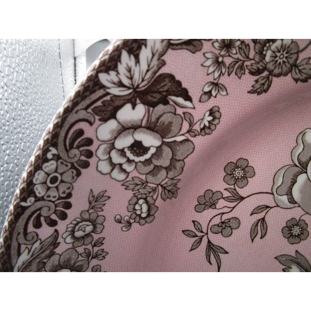 Pink Spode Archive Collection British Flowers Rosa 12" Pink Chop Plate Serving Platter Made in England Vintage 2007 For Sale - Image 8 of 8