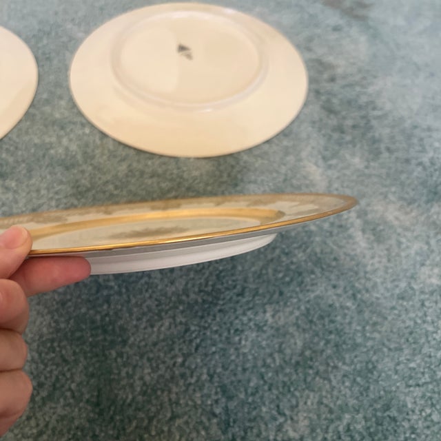 Vintage H & Co Selb Bavaria Heinrich Gold Encrusted Plates – Set of 9 For Sale - Image 9 of 9