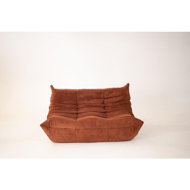 Togo Two-Seat in Brown Corduroy by Michel Ducaroy for Ligne Roset For Sale - Image 3 of 12