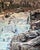 Ice Climbers on Lincoln Falls-Alma, CO by Sharon Pomales Tousey | Oil on canvas Ice climbers on icy rocks and frozen waterfalls. For Sale