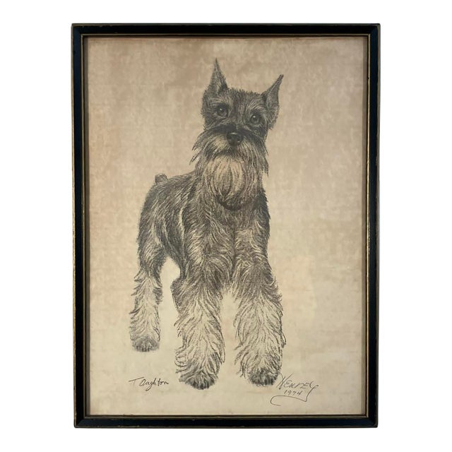 Vintage 1974 Dog Portrait Drawing by T. Daughton – Schnauzer Pet Portrait-'Henry' For Sale