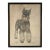 Vintage 1974 Dog Portrait Drawing by T. Daughton – Schnauzer Pet Portrait-'Henry' For Sale