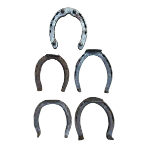 Early 20th Century Rustic Horseshoes Wall Decor- Set of 5