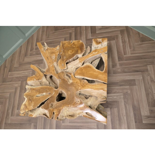 Vintage Yewwood Root Tree Coffee Table with Glass Top, 1980 For Sale - Image 6 of 7