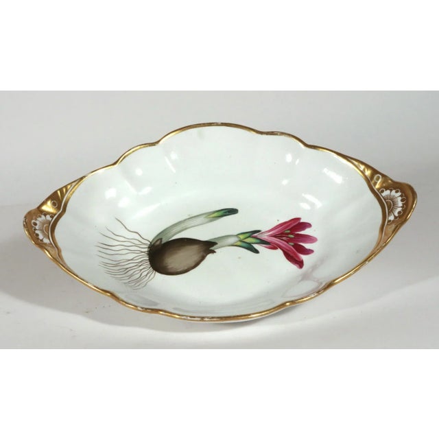 Spode Porcelain Botanical Specimen Dish- Spring Meadow Saffron, After William Curtis For Sale - Image 10 of 12