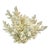 Coastal Boho Chic Natural Ivory White-Dove Grey Branch Coral Specimen. For Sale