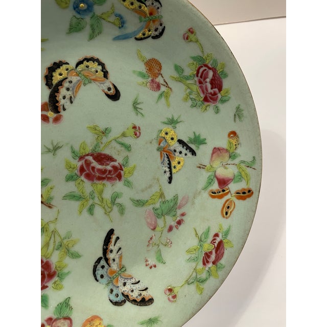 Late 19th Century Antique Chinese Celadon Famille Rose Butterfly Plate For Sale - Image 5 of 6