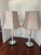 Pair of mirrored lamps with a delicate mercury glass finish. The columns feature delicate etching depicting hearts and...