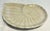 Fitz and Floyd Mid Century Modern Fitz and Floyd Iridescent Seashell Plates- A 4 Piece Set For Sale - Image 4 of 6