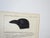Antique mid 19th century lithograph on paper of crow or blackbird book plate. Published by the US Pacific Railroad...