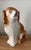 Victorian Antique English Staffordshire Terrier, Early 20th Century For Sale - Image 3 of 11
