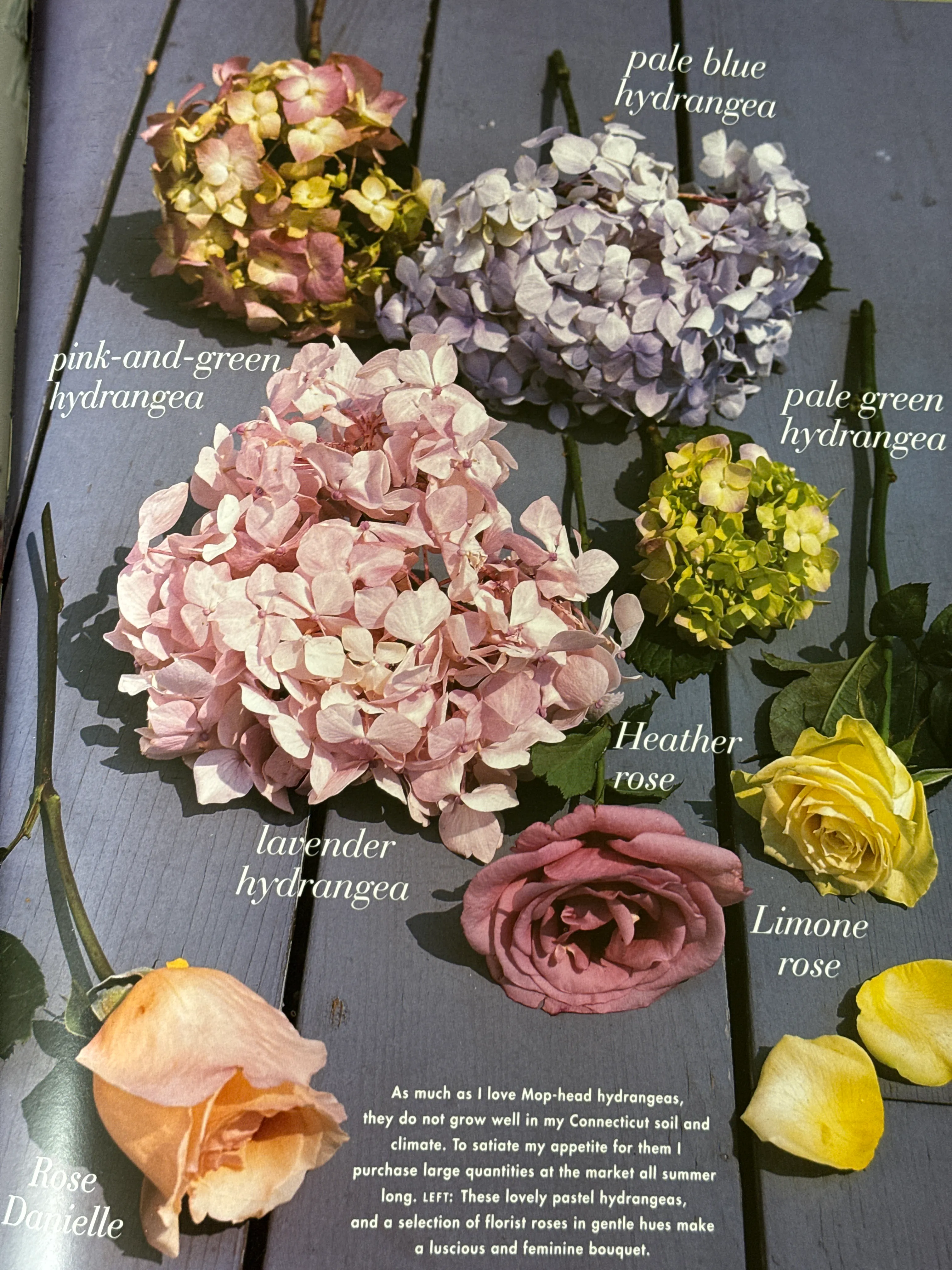 Carolyn Roehm: A Passion for Flowers, 1997 (First Ed.) | Chairish